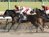 ����å��ǳ��������ɽ�����ޤ�