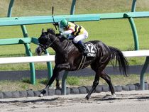 ����å��ǳ��������ɽ�����ޤ�