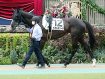 ����å��ǳ��������ɽ�����ޤ�