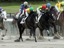 ����å��ǳ��������ɽ�����ޤ�