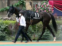 ����å��ǳ��������ɽ�����ޤ�