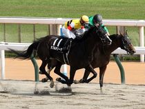 ����å��ǳ��������ɽ�����ޤ�