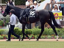 ����å��ǳ��������ɽ�����ޤ�