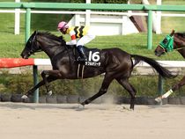 ����å��ǳ��������ɽ�����ޤ�