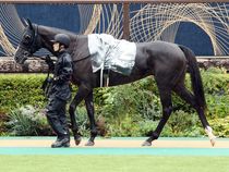 ����å��ǳ��������ɽ�����ޤ�