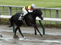 ����å��ǳ��������ɽ�����ޤ�