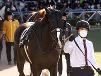 ����å��ǳ��������ɽ�����ޤ�