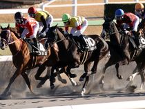 ����å��ǳ��������ɽ�����ޤ�