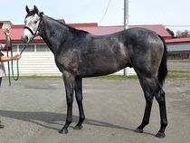 ����å��ǳ��������ɽ�����ޤ�