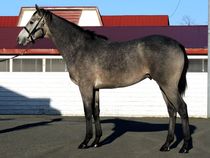 ����å��ǳ��������ɽ�����ޤ�