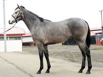 ����å��ǳ��������ɽ�����ޤ�