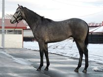 ����å��ǳ��������ɽ�����ޤ�