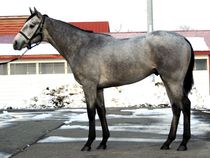 ����å��ǳ��������ɽ�����ޤ�