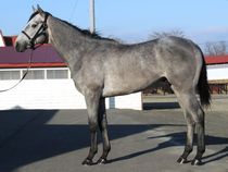 ����å��ǳ��������ɽ�����ޤ�