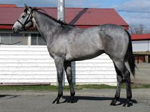 ����å��ǳ��������ɽ�����ޤ�