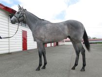 ����å��ǳ��������ɽ�����ޤ�