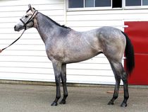 ����å��ǳ��������ɽ�����ޤ�