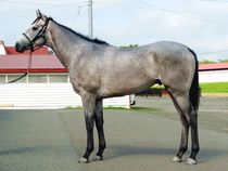 ����å��ǳ��������ɽ�����ޤ�