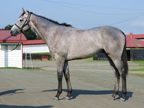 ����å��ǳ��������ɽ�����ޤ�