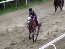 ����å��ǳ��������ɽ�����ޤ�