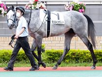 ����å��ǳ��������ɽ�����ޤ�