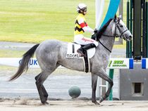 ����å��ǳ��������ɽ�����ޤ�