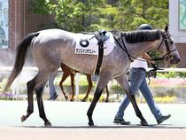 ����å��ǳ��������ɽ�����ޤ�