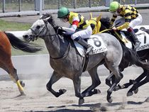 ����å��ǳ��������ɽ�����ޤ�