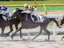 ����å��ǳ��������ɽ�����ޤ�