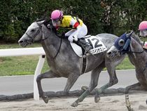 ����å��ǳ��������ɽ�����ޤ�