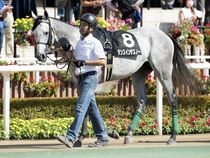 ����å��ǳ��������ɽ�����ޤ�