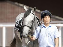 ����å��ǳ��������ɽ�����ޤ�