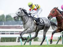 ����å��ǳ��������ɽ�����ޤ�