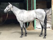 ����å��ǳ��������ɽ�����ޤ�