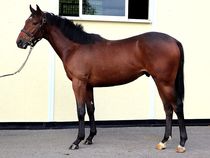 ����å��ǳ��������ɽ�����ޤ�