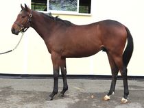 ����å��ǳ��������ɽ�����ޤ�