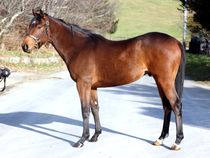 ����å��ǳ��������ɽ�����ޤ�