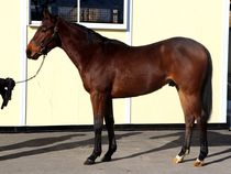 ����å��ǳ��������ɽ�����ޤ�