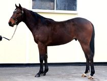 ����å��ǳ��������ɽ�����ޤ�