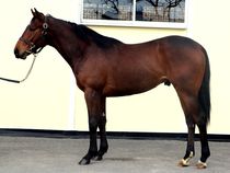 ����å��ǳ��������ɽ�����ޤ�