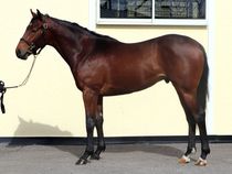 ����å��ǳ��������ɽ�����ޤ�