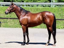 ����å��ǳ��������ɽ�����ޤ�