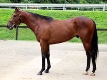 ����å��ǳ��������ɽ�����ޤ�