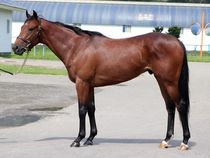 ����å��ǳ��������ɽ�����ޤ�