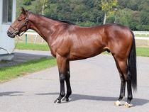 ����å��ǳ��������ɽ�����ޤ�