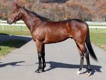 ����å��ǳ��������ɽ�����ޤ�