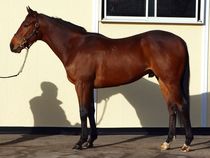 ����å��ǳ��������ɽ�����ޤ�