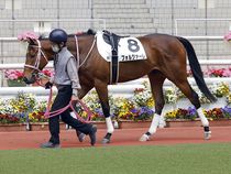 ����å��ǳ��������ɽ�����ޤ�