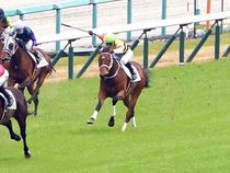 ����å��ǳ��������ɽ�����ޤ�