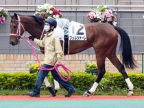 ����å��ǳ��������ɽ�����ޤ�